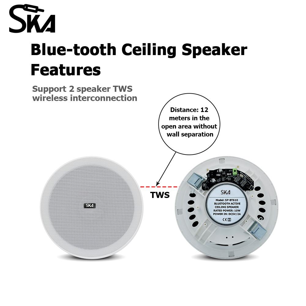 천장 블루투스 스피커, 홈 시어터용 TWS 액티브 라우 - Home Cinema Speaker System 리뷰 및 가격