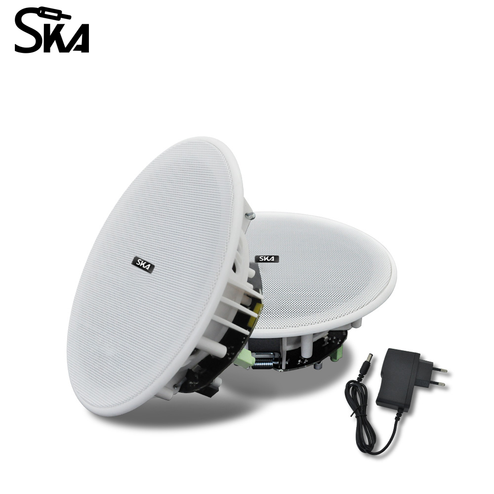 천장 블루투스 스피커, 홈 시어터용 TWS 액티브 라우 - Home Cinema Speaker System 리뷰 및 가격