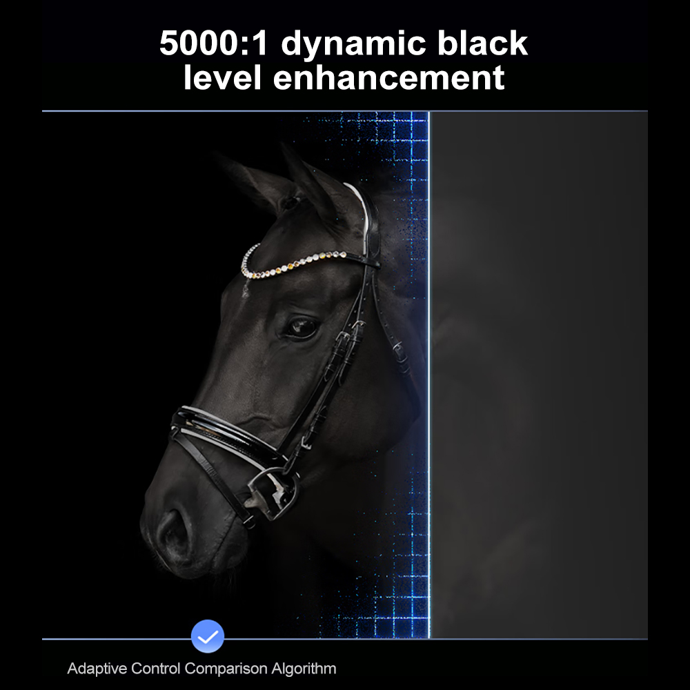 XGIMI Z6X Pro DLP 1080P 프로젝터 9 - Home Cinema Harman Kardon 리뷰 및 가격